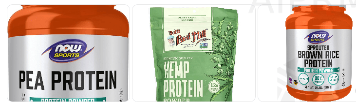 The best plant-based protein powders