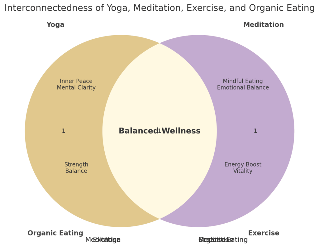 wellness journey