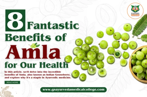 You are currently viewing Amla is a superfood that promotes heart health and hair growth.