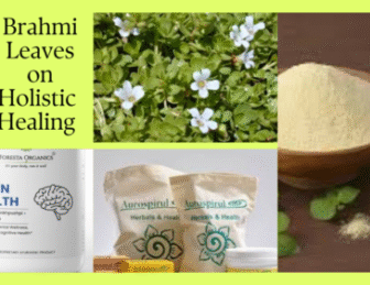 Exploring the Powerful Health Benefits of Brahmi Leaves: Ancient Wisdom Meets Modern Science