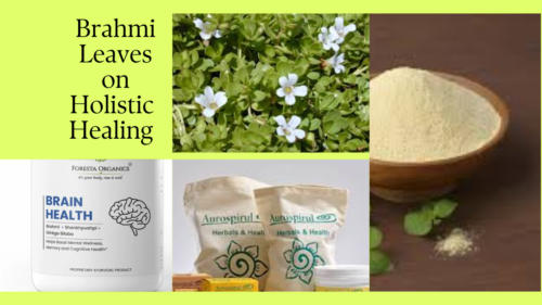 You are currently viewing Exploring the Powerful Health Benefits of Brahmi Leaves: Ancient Wisdom Meets Modern Science