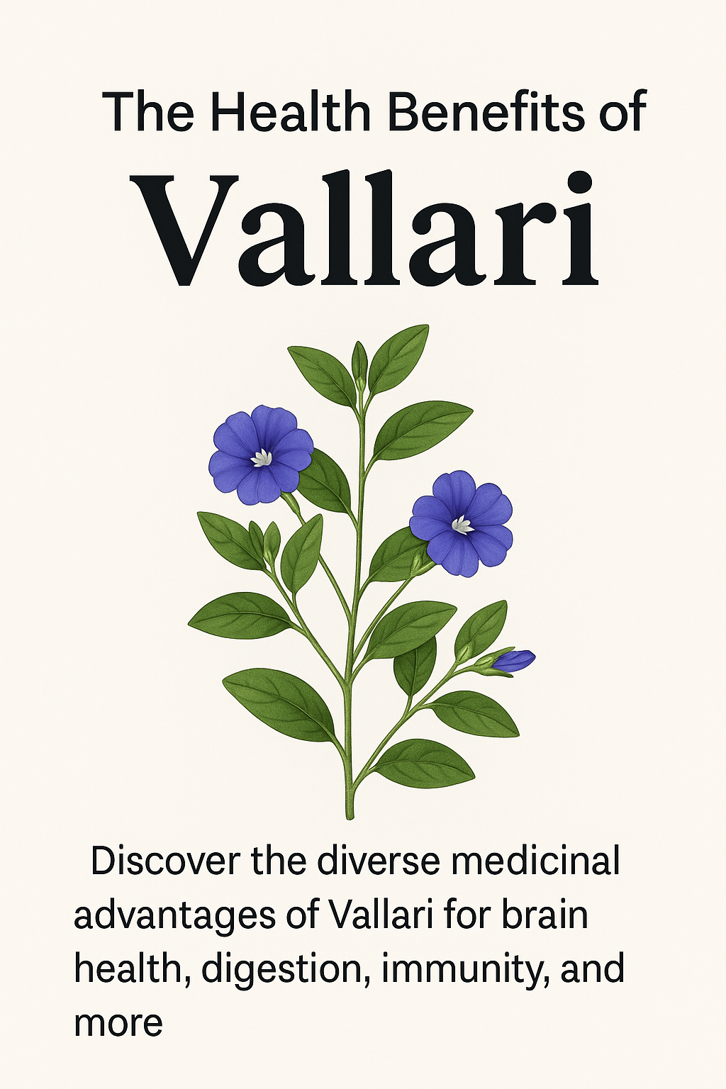You are currently viewing The Health Benefits of Vallari Keerai: A Powerful Ayurvedic Herb.