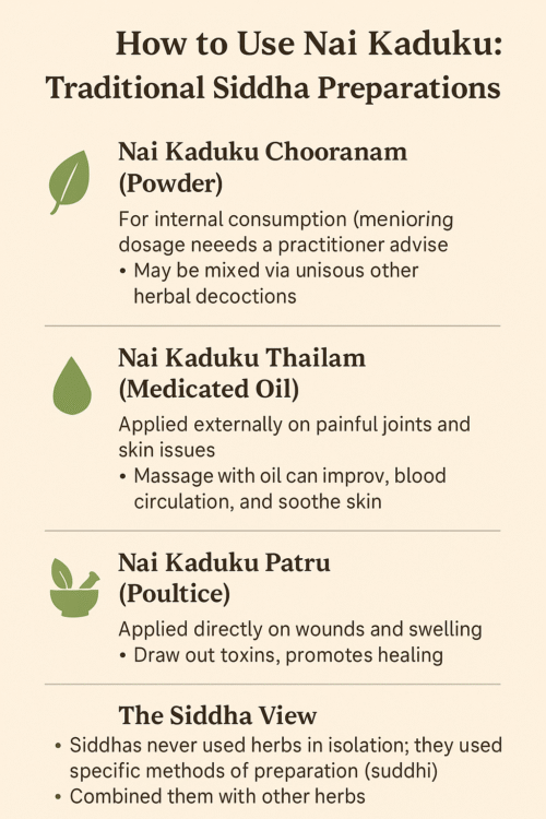 The Benefits of Naai Kaai Kaduku