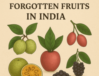 The Benefits of 5 Forgotten Fruits in India for Healthy Living
