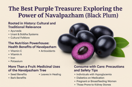 Navalpazham(Black Plum)