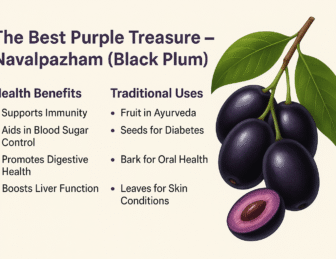 The Secrets of Navalpazham (Black Plum): The Purple Powerhouse