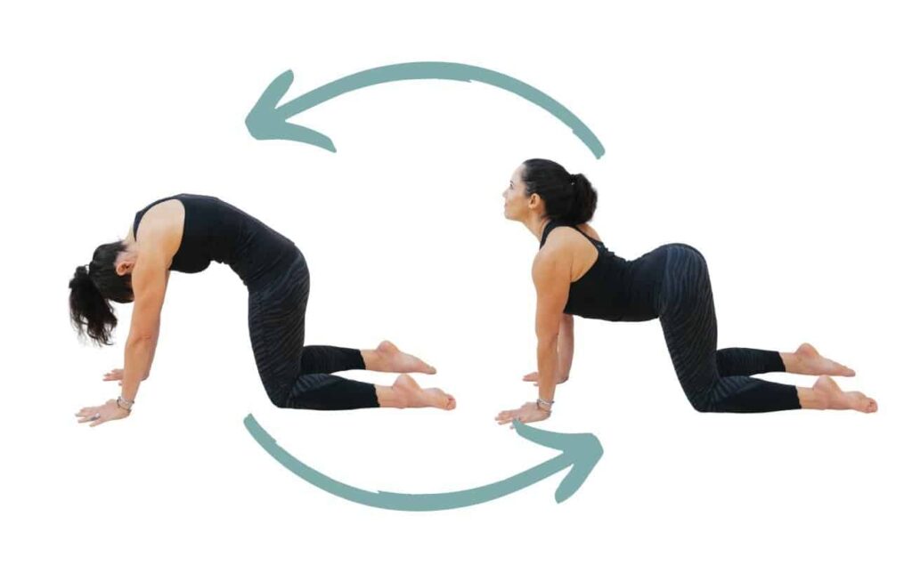 Yoga Exercises for Pregnant Women—Cat-Cow Pose