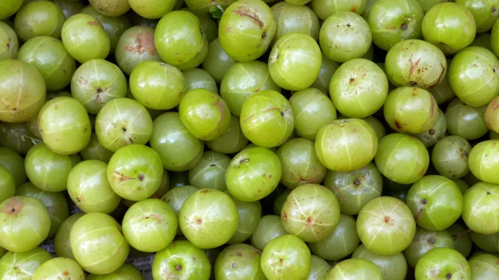 Forgotten Indian Fruits