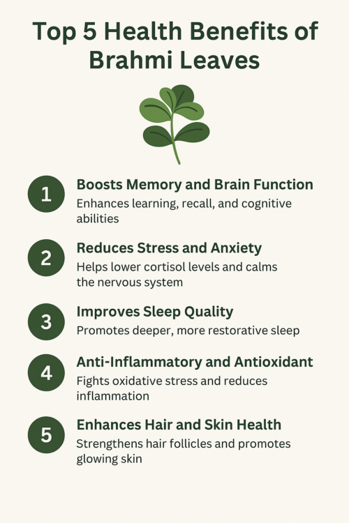 health benefits of Brahmi leaves. 