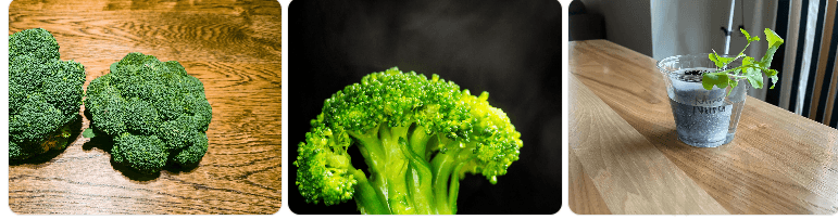 Broccoli – Detox & Immunity Support supper food