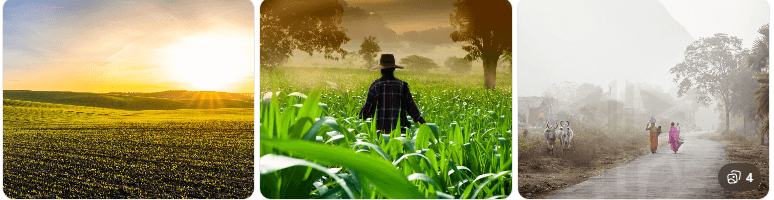traditional farming community morning routine for natural health