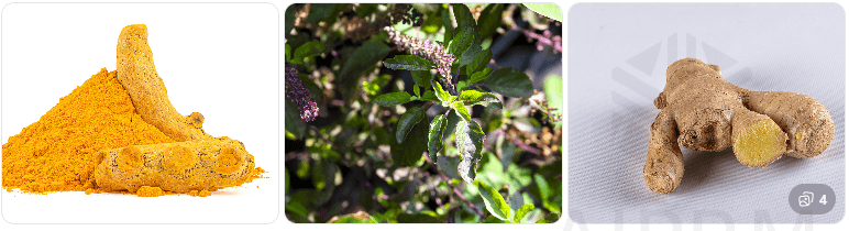 Natural Remedies for healthy Living