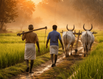 30 Health Lessons Modern Society Can Learn from Farming Communities