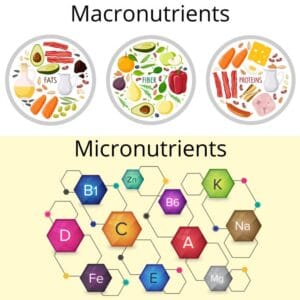 Table showing the roles of carbohydrates, proteins, and healthy fats in a balanced diet