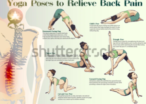The benefits of yoga—yoga for back pain